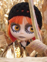 Cinder in my sister's corn field