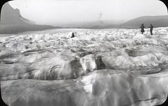 Anglų lietuvių žodynas. Žodis piedmont glacier reiškia pjemonto ledynas lietuviškai.