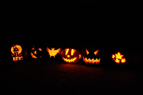 Pumpkins, all in a row