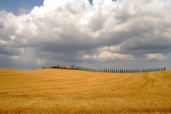 campagna toscana val d'orcia