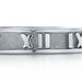 $20 - Silver Tiffany's Ring
