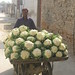 Selling Cauliflowers