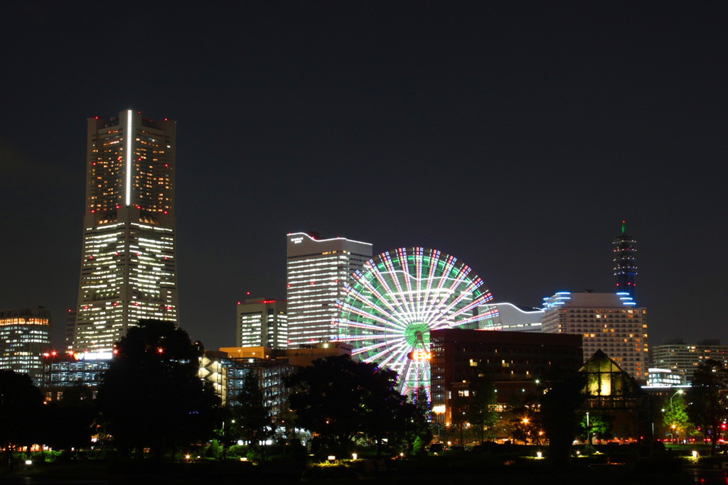 Yokohama Night View (6)