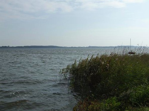 view of Lake Miedwie in Poland