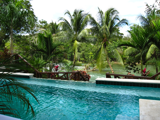 Mahogany Hall Resort Belize infinity pool
