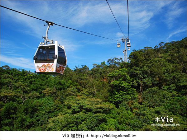 【貓空纜車一日遊】台北貓空纜車～從空中看見台北的美！