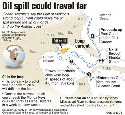 Oil Spill report + TEDxOilSpill + Design proposal