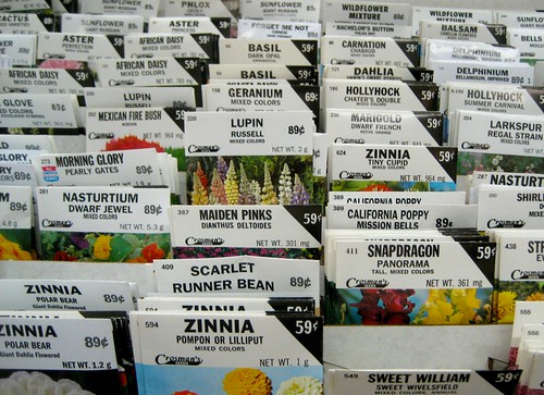 Flower Seed Packets at the Arcade Department Store