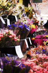 Day 207/365 - Bouquets