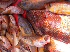 Cofradía de pescadores Santurtzi