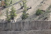 Yellowstone - Tower Falls Columnar Basalt 0988