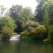 The Weir at Fairford Mill Pond