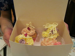box of cupcakes