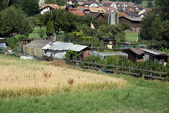Swiss community gardens  201