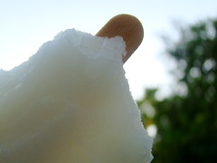 204|365 popsicle days