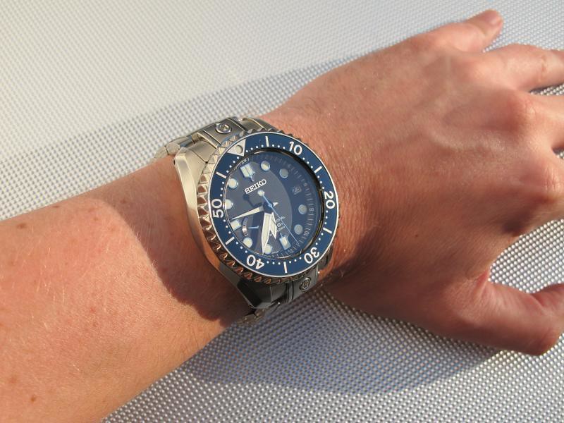 SBDB001 600m diver on small wrists...