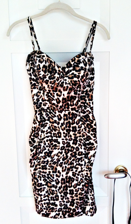 leopard print dress from Annie Creamcheese vegas, dolce & gabbana leopard print dress