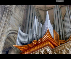 Stephansdom Organ  -  Wien  -  Austria