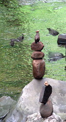 Patrick's Sculpture Plotter Kill Nature Preserve Rotterdam NY 8523