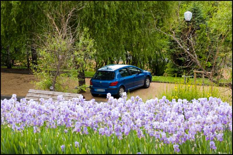 Flowers and my PEUGEOT 307<br/>© <a href="https://flickr.com/people/37313543@N05" target="_blank" rel="nofollow">37313543@N05</a> (<a href="https://flickr.com/photo.gne?id=4870812851" target="_blank" rel="nofollow">Flickr</a>)