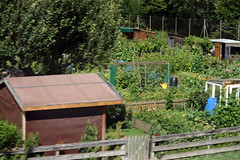 Swiss community gardens  199