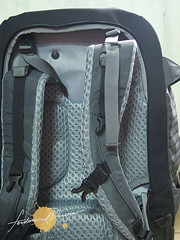 Backpack Straps