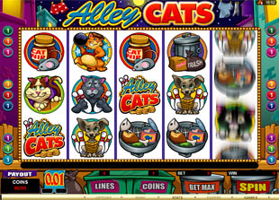 Alley Cats slot game online review