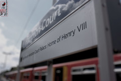 Henry VIII and his 6 wives... - Project 081/365 (10/7/10)