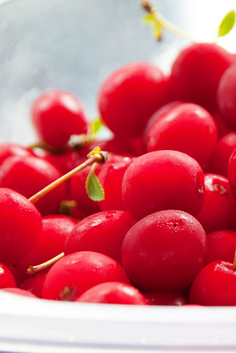 cherry cobbler - cherries