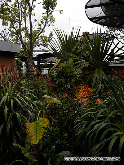 The sky garden in the Singapore pavilion