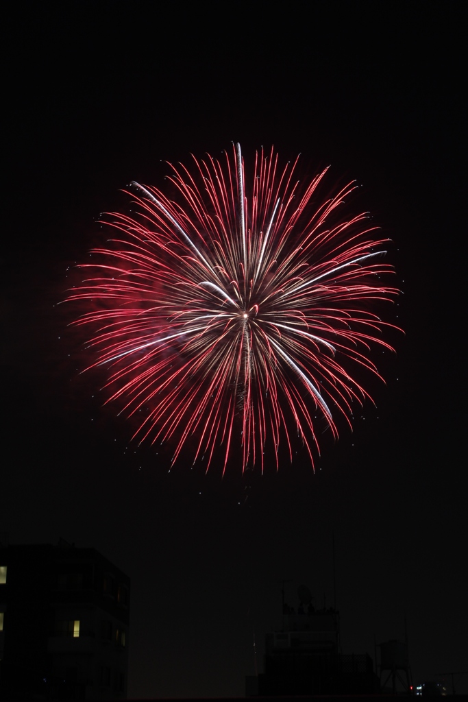 A Japan photo No.262:Sumidagawa Fireworks Festival