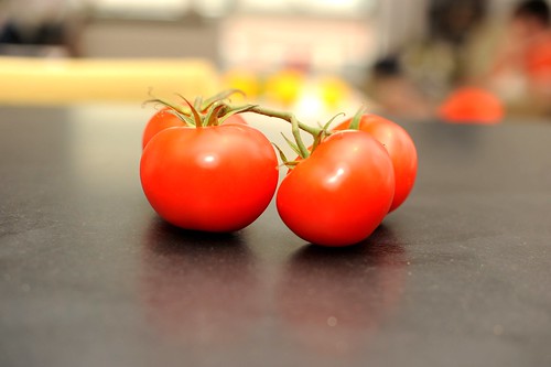 hang on, little tomatoes!