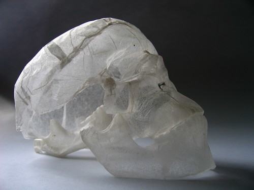 tissue paper sculpture - skull