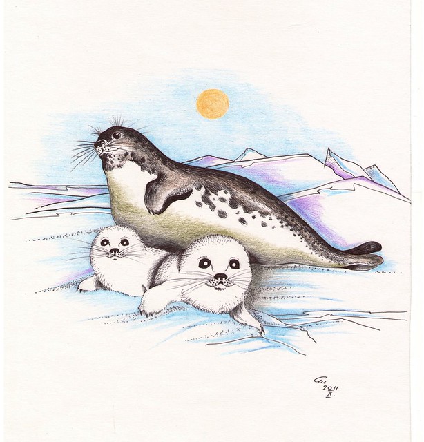 Тюлени