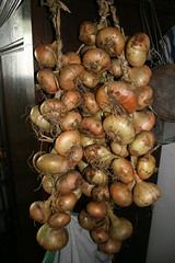 Bunches of our onions
