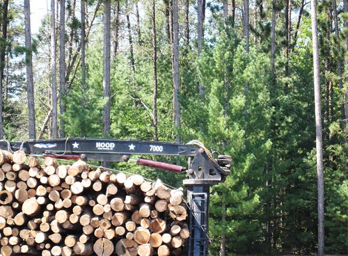 northern logging season