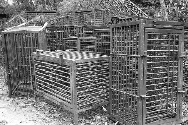 EMPTY CRUSH CAGES FROM BILE FARMS AT ANIMALS ASIA FOUNDATION CHENGDU