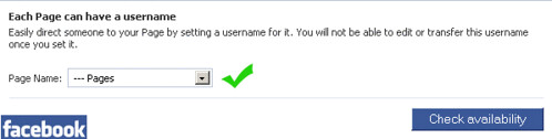 Set username to facebook pages | Anil Labs