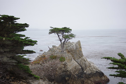 Monterey (California)