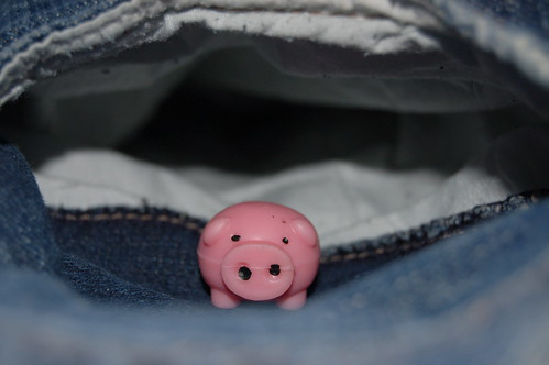 Image of a pig in a pocket