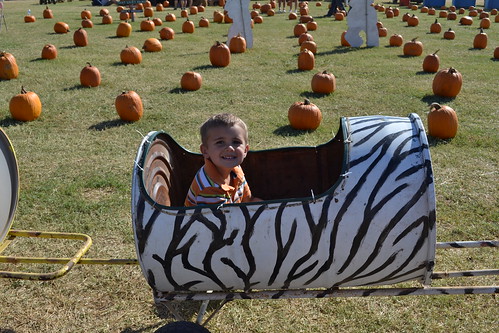 Noah on ride at Pumpkin Village