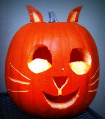 Halloween Jack O Kitty