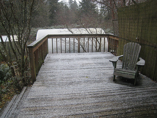First Snow of Winter 2010