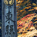 Nikko • <a style="font-size:0.8em;" href="https://www.flickr.com/photos/40181681@N02/4839726700/" target="_blank">View on Flickr</a>