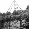 Step by step construction of a circular hut (2)