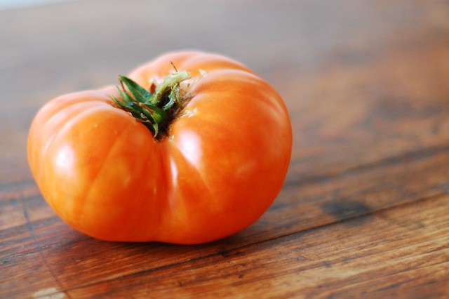 the giant tomato
