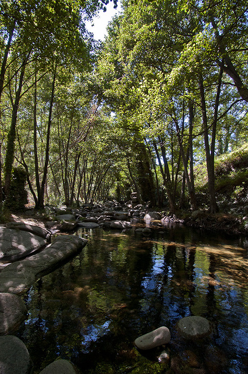 Piscina natural del rio Arenal en Arenas de San Pedro