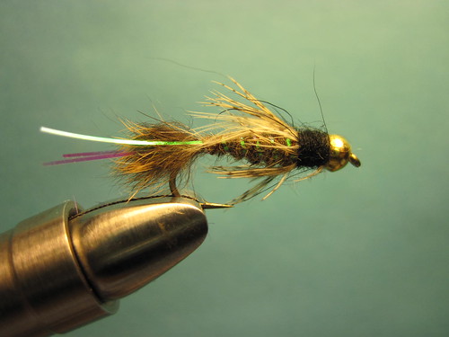 Ten Flies You Need in your Box this Fall | The Caddis Fly: Oregon Fly ...