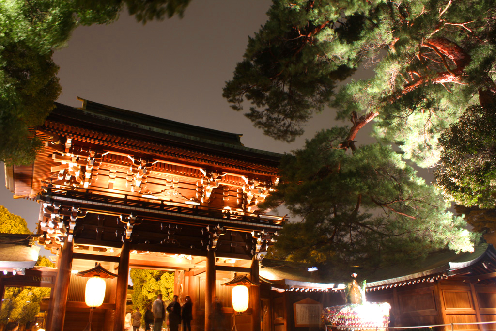 Akarium of the Meiji Shrine (8)