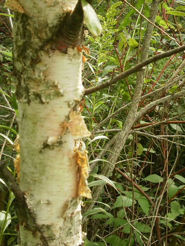 P3260055